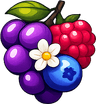 Memberberry